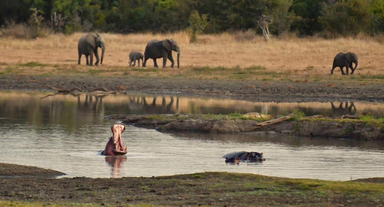 Pungwe Safari Camp Villa Manyeleti viltreservat Eksteriør bilde